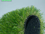 Искусственная газонная трава в рулонах для дачи Источник: guru/landshaftny - фото 2