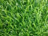 Искусственная трава Deko 25 Green - photo 3