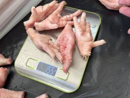 中国大陆鸡爪A级30