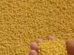 Lump gas sulfur 99.98% produced in Turkmenistan FCA