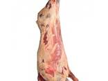 Мясо говядина на кости Бык/Корова - фото 2