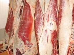 Мясо говядины с аккредитацией на Китай из Беларуси