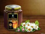 Натуральный горный мёд "Kyrgyz Honey" - фото 2