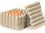 Линия для производства бугорчатых прокладок для яиц - фото 3