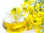 Oil sunflower/ rapeseed origin Ukraine - фото 2
