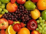 Овощи и фрукты, сущенные овощи и фрукты, сухофрукты, орех, дыня, холва, курага. - photo 1