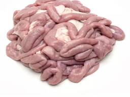 Pork small intestines