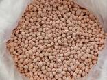 Potassium Chloride Uzbekistan - фото 1