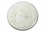 Продаем Ксантановую камедь (Xanthan Gum / E415 / CAS 11138-66-2) оптом из Китая - фото 2