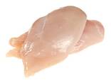 Halal Frozen Chicken Breast - фото 1