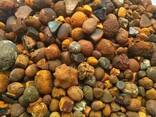 Quality Ox Gallstones Cattle Gallstones Cow Gallstones Buy Cow GallStones - photo 2