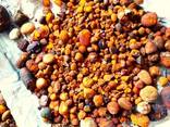 Quality Ox Gallstones Cattle Gallstones Cow Gallstones Buy Cow GallStones - photo 3