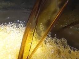 RAPESEED OIL
