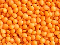 Red lentils