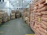 Whole Milk Powder / Full Cream Milk Powder - photo 2