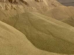 Соевый шрот 47% Казахстан