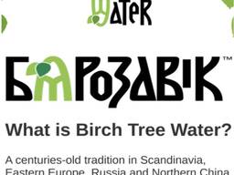 Birch juice, 100% natural, PET bottle. Сок березовый, 100% натуральный, ПЭТ-бутылка