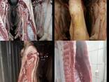 Свинина Сало Оптом - photo 2