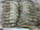 Vannamei Shrimp — Frozen Seafood Supply - photo 2