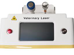 Veterinary Laser Therapy Equipment