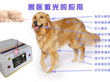 Veterinary Laser Therapy Equipment - фото 1