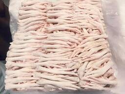 Wholesale Frozen Chicken Feet/Paws /drum stick