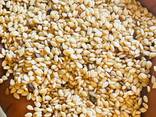 Export Quality White Sesame Seeds - Thailand - $350/MT - фото 2