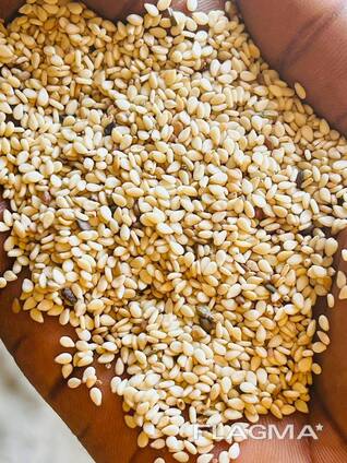 Top Grade White Sesame Seeds - Min 10MT - Buyer Packaging Option