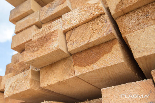 来自白俄罗斯的木材