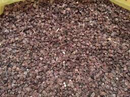 Buckwheat/Гречиха
