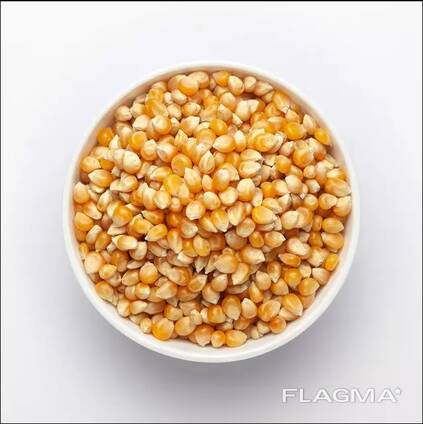 黄白玉米，最佳市场
